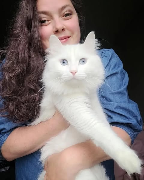 Allyship Moment: Halifax Cat Tour partners with My Grandfather’s Cat to support aging and ill people’s beloved pets